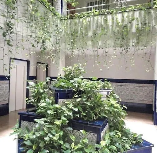 Al Ladito De La Playa *